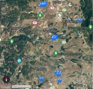 מיפוי מיקום צמרירי הקדד ברמות מנשה, 2022