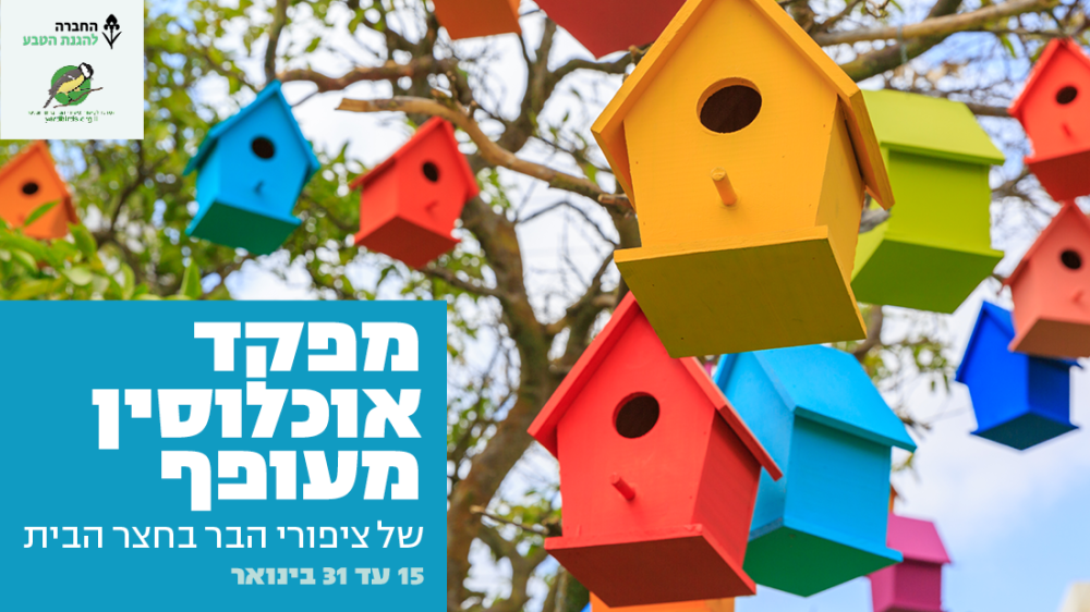 מפקד-אוכלוסין-מעופף-לאתר-2