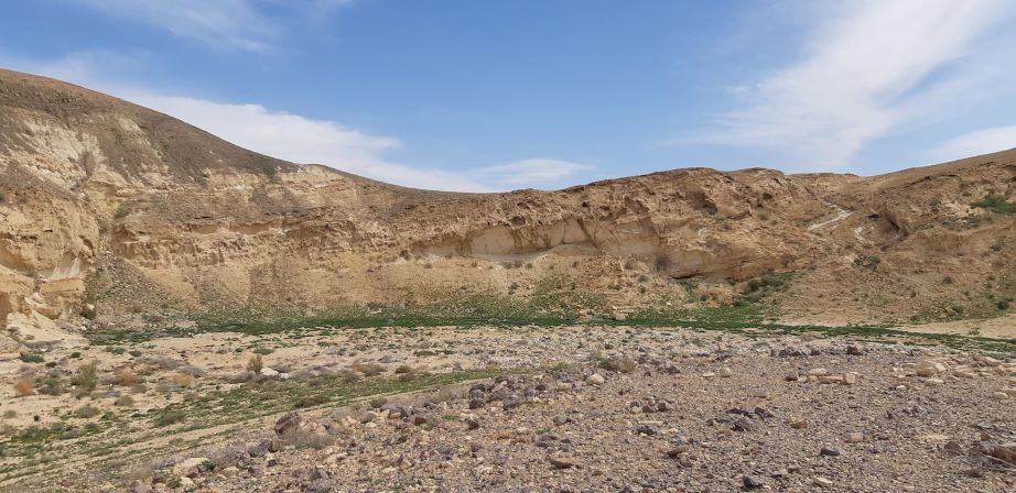מקטע חולי-סלעי בנחל אשלים. צילום: רון חן, המארג