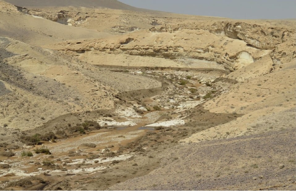 קטע מנחל אשלים לאחר הזיהום במי שפכים תעשייתיים חומציים. צילום: רשות הטבע והגנים