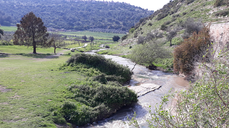 ערכי טבע ומורשת ייחודים בגבעות אלונים וצפון הרי נצרת