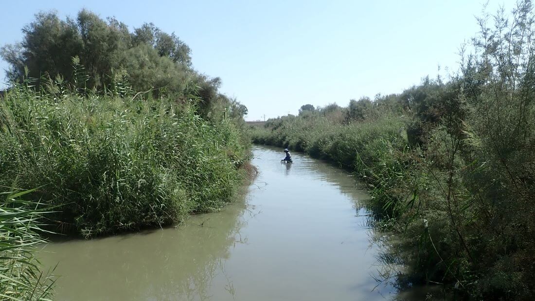 ניטור הידרוביולוגי בנחל קישון. צילום: אלמוג הרשקו פנואל