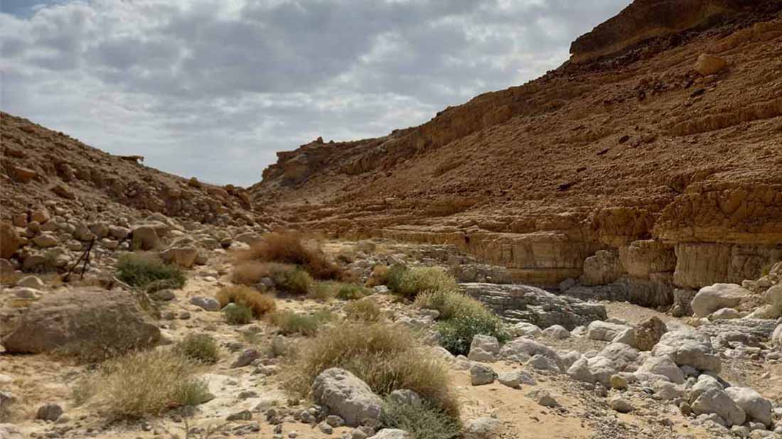 מקטע טיפוסי בערוץ נחל אשלים. צילום: עדי רמות