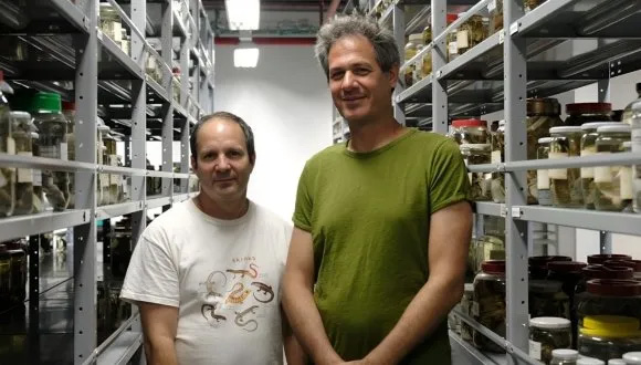 פרופ' ערן לוין (מימין) ופרופ' שי מאירי (משמאל) בתוך האוסף המדעי של מוזיאון הטבע