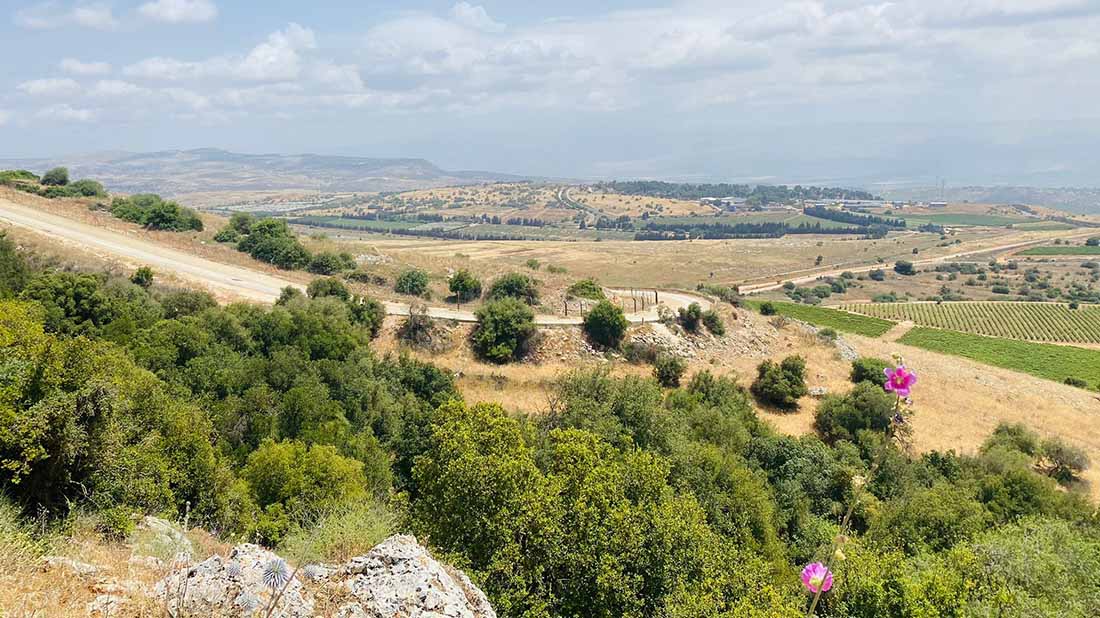 אין כמו בבית (הגידול)