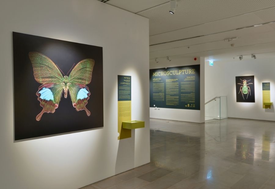 18 במאי 2026 (1000 x 618 פיקסל)