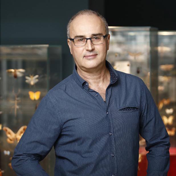 Igor Gavrilov