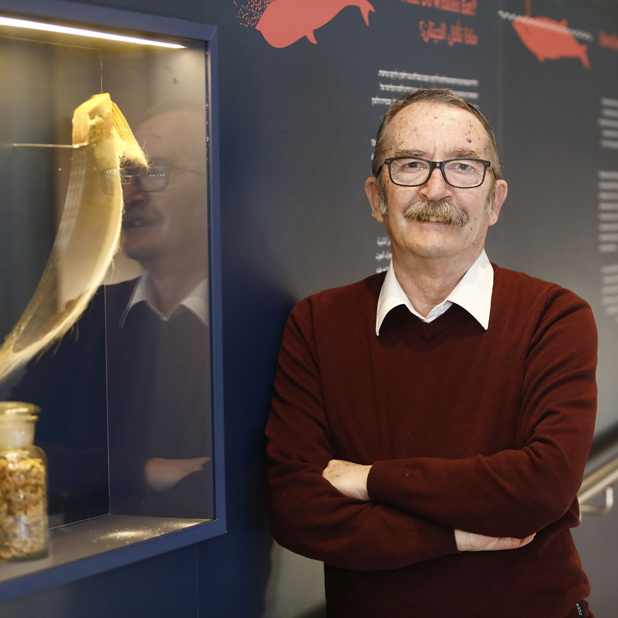 Dr. Armin Ionescu