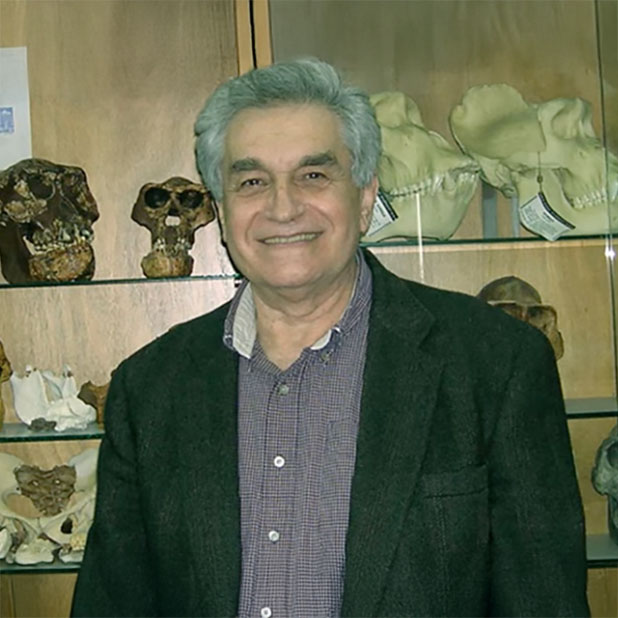 Prof. Yoel Rak