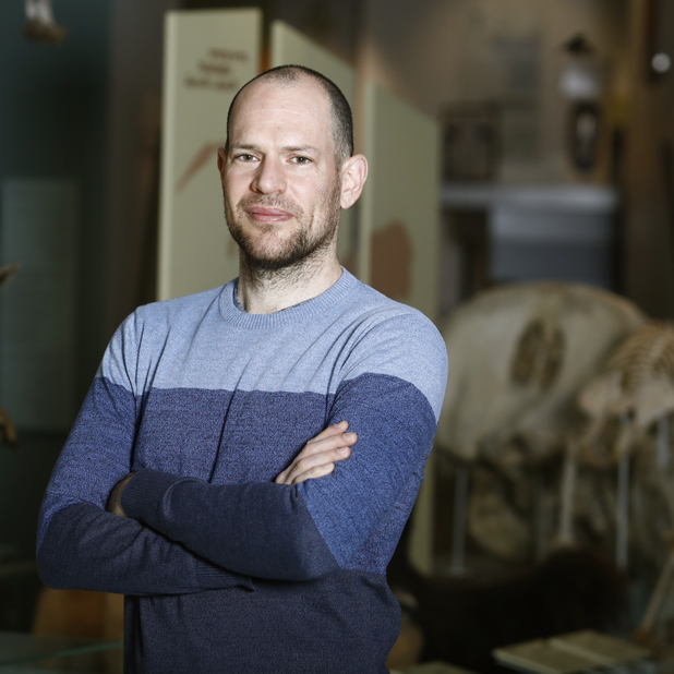Prof. Inon Scharf