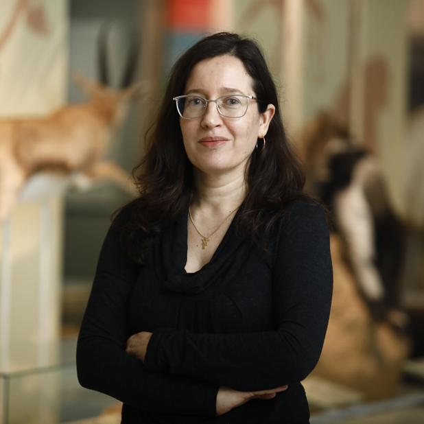 Prof. Lidar Sapir-Hen