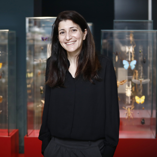 Dr. Meirav Meiri