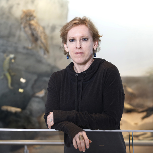 Prof. Netta Dorchin
