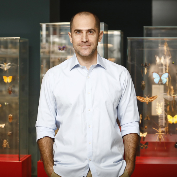 Prof. Omri Bronstein