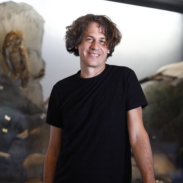 Prof. Eran Levin