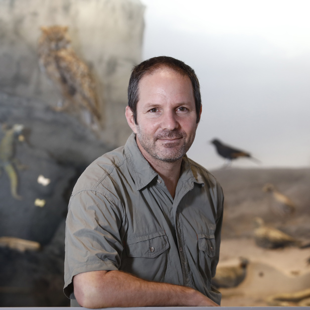 Prof. Shai Meiri
