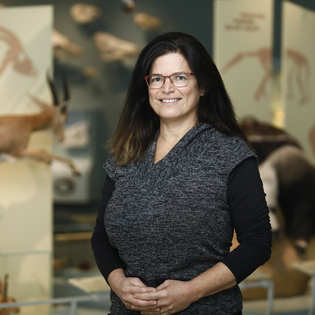 Dr. Tamar Feldstein-Farkash