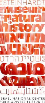 orange logo