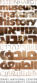 brown logo