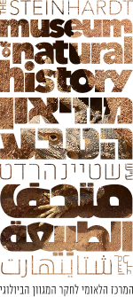 Brownlogo