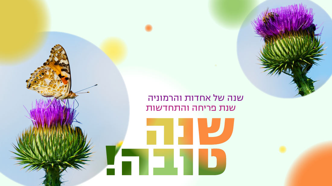 NM_NEWYEAR25_SLIDER_HEB